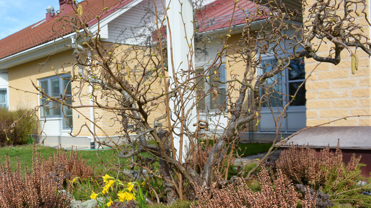 Tegelhus med blå dörr och blomrabatt framför