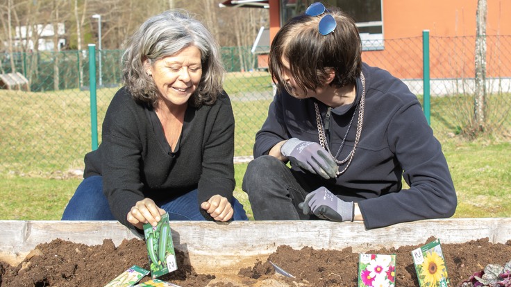 Personal och deltagare planterar frön i pallkrage